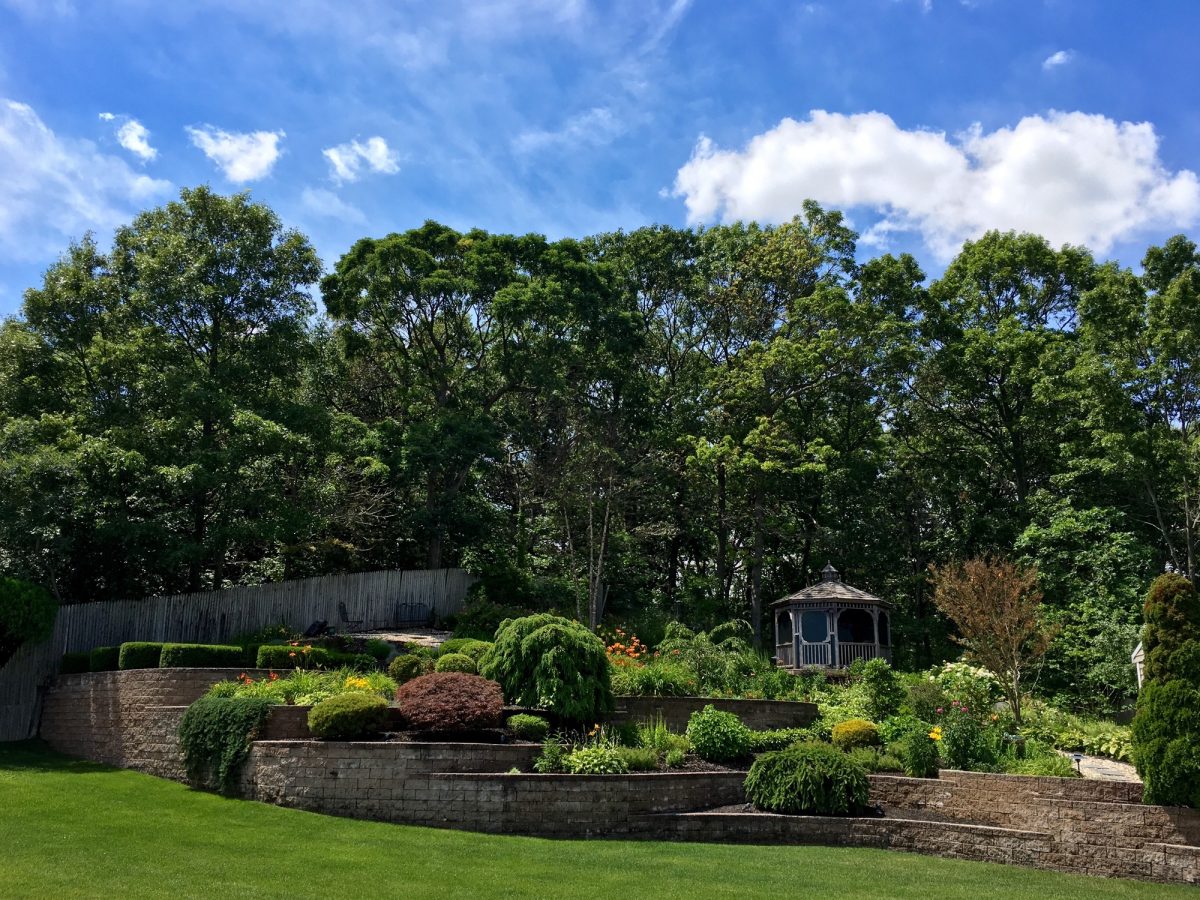 Een moderne tuin plannen