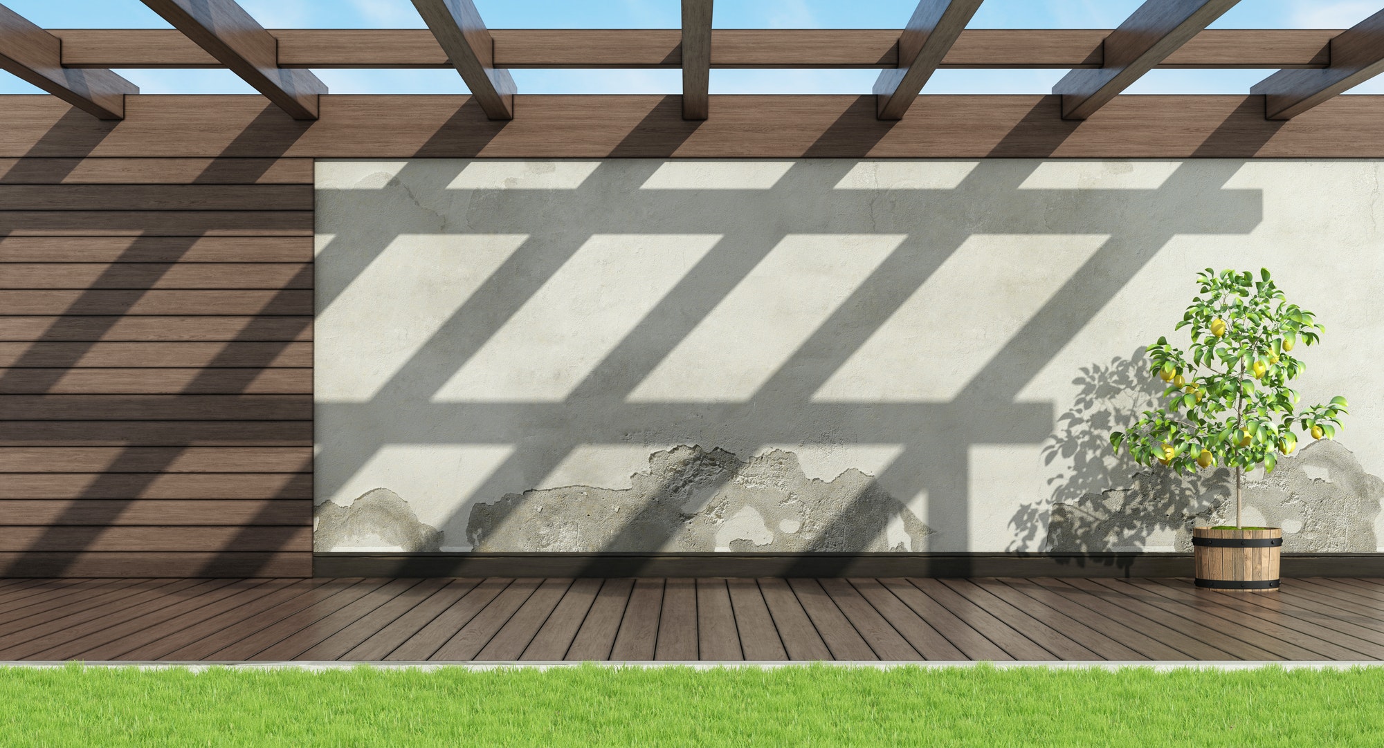Home garden without furniture
