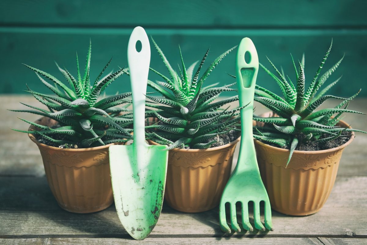 Tips voor het kopen van tuinmeubelen