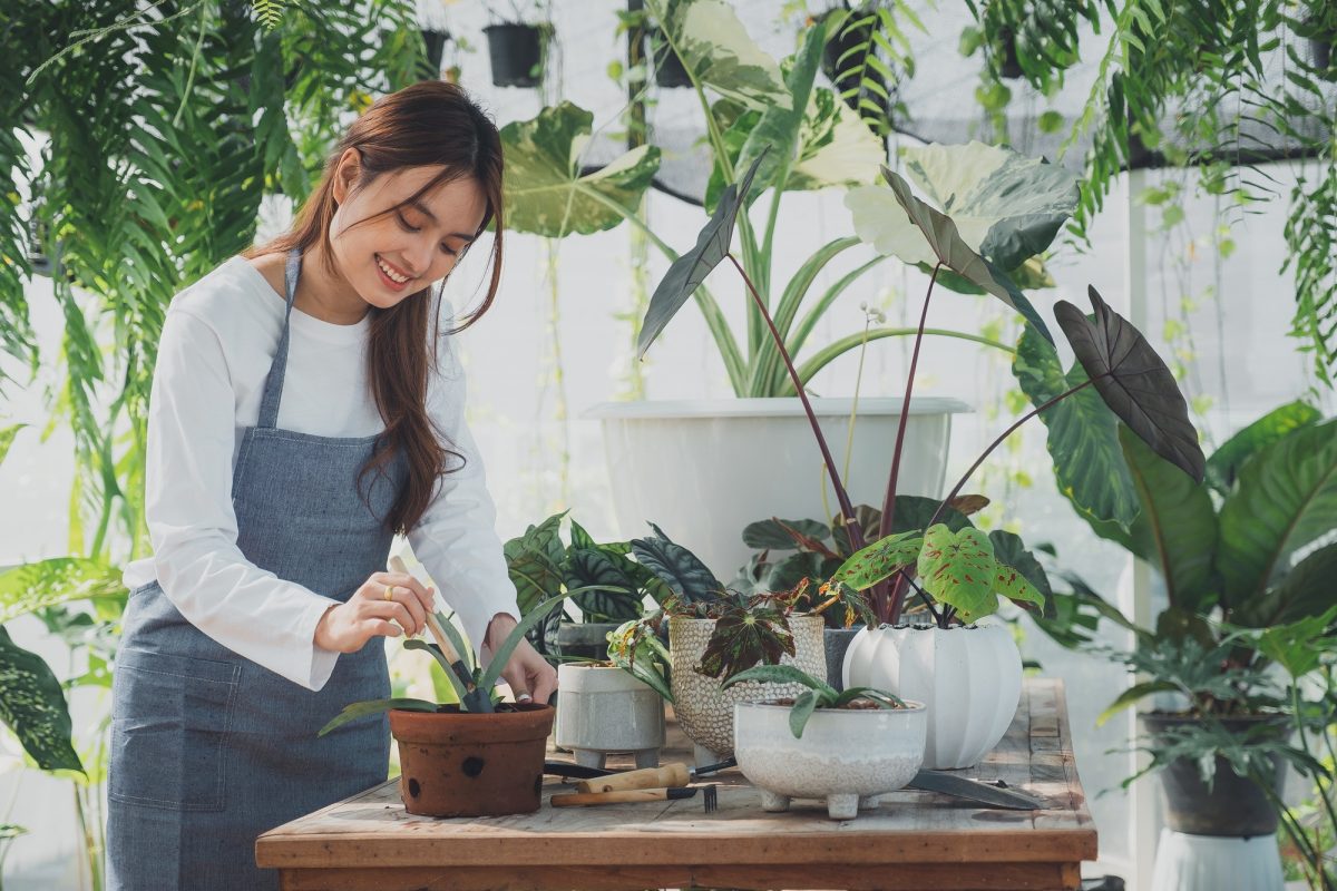 Hoe u inspiratie kunt vinden in uw tuinieren?