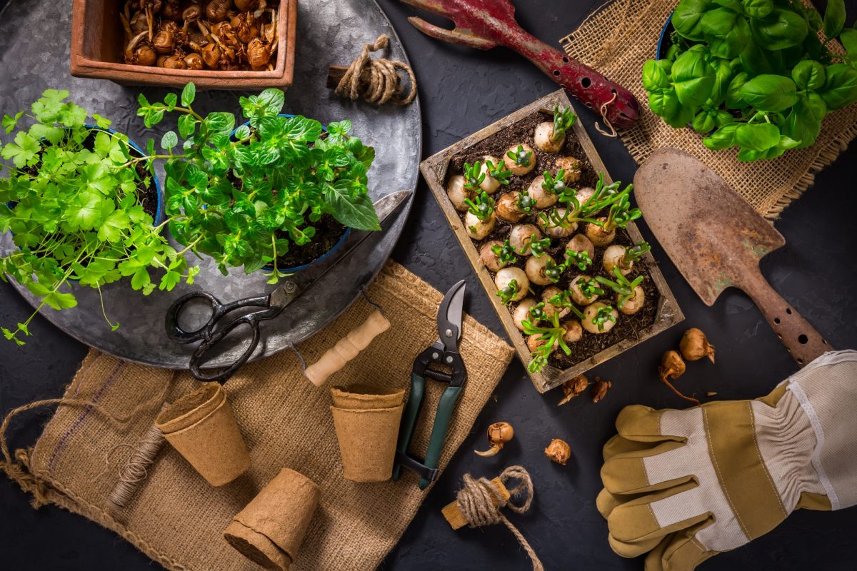 Tips voor het kopen van tuinmeubelen