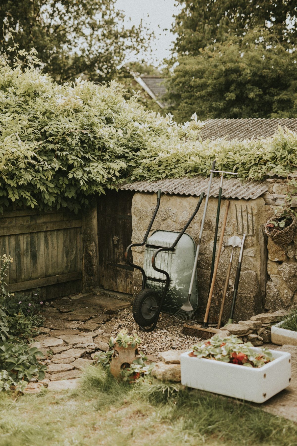 Vijf categorieën tuinplanten