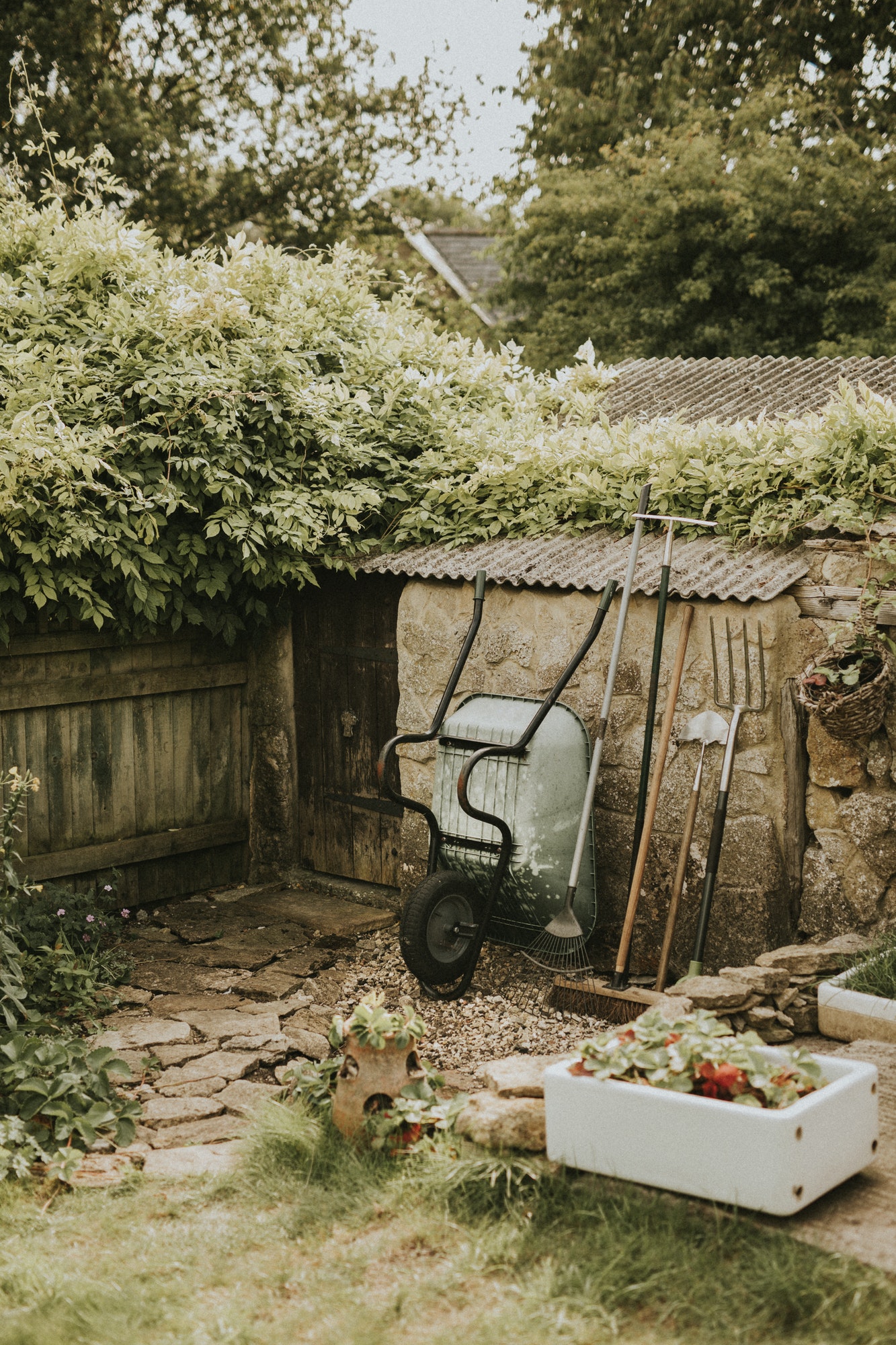 Small backyard home garden with tools