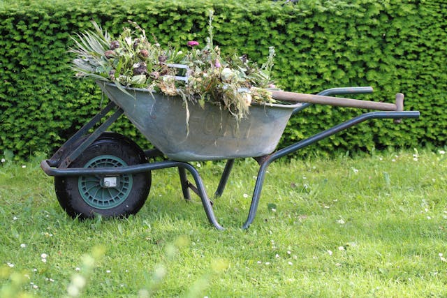 Tuincentra en Onkruid Verwijderen: Zo Houd je je Tuin Makkelijk Netjes