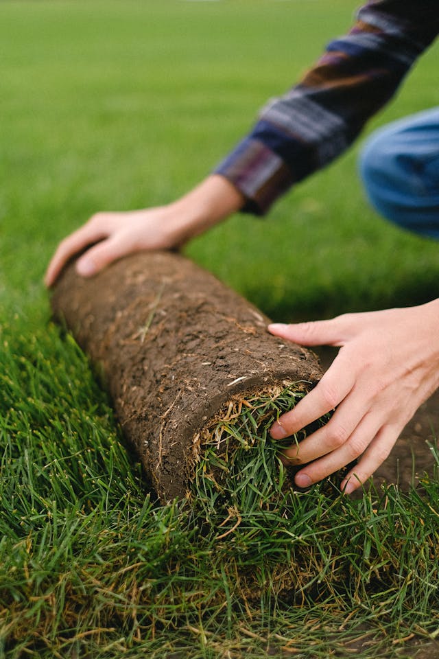 Tuincentrum en Worteldoek: De Slimme Start van een Onderhoudsarme Tuin